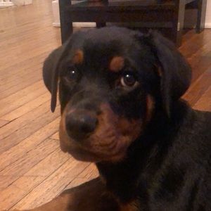 Meet your Posher, Asia